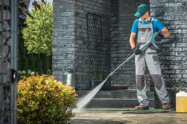 Animal Enclosure Cleaning in Dowagiac, MI